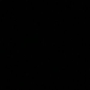 Meet your Posher, Cody